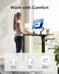 HUANUO Electric Standing Desk, 48" x 24" Whole Piece Desktop, Adjustable Height Computer Desks, 4 Height Memory Settings, Sit Stand Up Desk for Home Office, Black