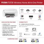 Canon PIXMA TS3720 Wireless All-in-One Printer for Basic Home Printing, White