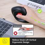 MicroPack Trackball Wireless Mouse, Upgrade Right Hand Ergonomic Mouse with Wireless Vertical Rollerball Computer Mouse, 3 Adjustable DPI, Easy Thumb Control for PC, Laptop, Mac, Windows - Black