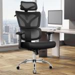 TECHREST Ergonomic Office Chair, Big and Tall Home Desk Chair, High Back Rolling Computer Chair with 2D Arms and Lumbar Support, Comfortable Gaming Chair, Swivel Mesh Chairs, Black