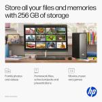 HP OmniDesk Slim Desktop PC, Intel Processor 300, 8 GB RAM, 256 GB SSD, Intel UHD Graphics 710, Windows 11 Home, Microsoft Copilot, Meteor Silver, S03-0010 (2025)