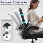 Nexthro Ergonomic Office Chair, Desk Chair with Adjustable Lumbar Support, Breathable Mesh Comfy Computer Chairs with Flip-up Armrests Executive Task Chair for Adults Home Office(Black)