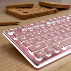 SEUNKWANG EWEADN GX710S Backlit Computer Keyboards, Wired USB Keyboard with White Backlit, Metal Panel, Plug and Play, Pudding Keycaps Full Size Quite Computer Keyboard for Win/PC/Laptop-Pink