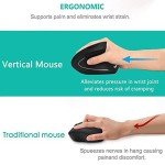 Lekvey Rechargeable Vertical Ergonomic Wireless Mouse