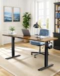 Marsail 55x24 Electric Standing Desk - Adjustable Height Computer Desk with Memory Presets, Storage Bag & Cable Management for Home Office & Gaming Workstations