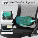 Fizzin Ergonomic Office Chair, 400 LBS Computer Chairs with Adjustable Lumbar Support, Breathable Mesh Desk Chair Ergonomic with Thickened Cushion, Comfy Home Office Desk Chair (Black)