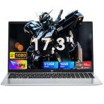 MALLRACE 17.3 Inch Laptop,Ryzen 3 4300U (Beat AMD Ryzen 5 3500U,up to 3.7GHz) 16GB DDR4 RAM 512GB SSD Business Laptop with Webcam,Type-C,62.7Wh Battery,Numeric KB,Silver