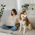 HP Ultrabook 15.6 FHD Touch-Screen Business Laptop • 2026 Edition • Intel 10 cores i5-1334U • 8GB RAM • 256GB SSD • Windows 11 with Office 365 for The Web • w/o Mouse