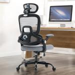 ACFOUL Ergonomic Office Chair, Mesh Desk Chair with 2D Adjustable Lumbar Support – Relieve Back Pain for Long Workdays Sitting, High Back with 3D Headrest & Armrests for Home Office Comfort, Dark Gray