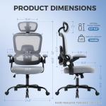 ACFOUL Ergonomic Office Chair, Mesh Desk Chair with 2D Adjustable Lumbar Support – Relieve Back Pain for Long Workdays Sitting, High Back with 3D Headrest & Armrests for Home Office Comfort, Dark Gray