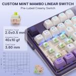 Redragon K745 PRO Wireless Gasket RGB Gaming Keyboard, 108 Keys Mechanical Keyboard w/Extra 4 Hotkeys, Hot-Swap Socket, 5-Layer Noise Dampening, See-Through Round PBT Keycaps, Mint Mambo Switch