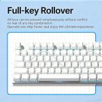 HP GK400F Mechanical Keyboard Wired, Brown Switch, 104-Key Full Size, Metal Panel Anti-Rust, RGB Backlit, Anti-Ghosting, ABS Keycaps for Gaming Office Desktop PC - White