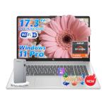 HP 17 inch laptops, AMD Ryzen 5 7430U(Beats i7-1355U), 20GB RAM 512GB NVMe SSD, Windows 11 Pro + Office 365 for the Web, 17.3" FHD IPS, USB-C, Numeric Keyboard, w/AI Voice Recorder
