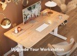 Electric Height Adjustable Ergonomic Standing Desk