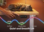 Electric Height Adjustable Ergonomic Standing Desk