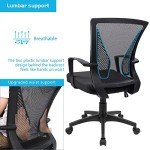 Ergonomic Mid Back Swivel Office Chair with Lumbar Support