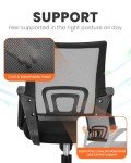 Neo Ergonomic Office Chair with Lumbar Support