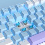 75% Mechanical Gaming Keyboard with Blue LED Backlight