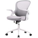 SMUG Ergonomic Mesh Office Chair with Adjustable Arms