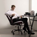NEO CHAIR Ergonomic Adjustable Office Desk Chair