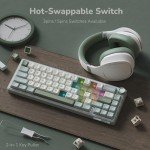 RK Royal Kludge R65 60% RGB Mechanical Keyboard