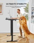 ErGear Height Adjustable Electric Standing Desk - Black