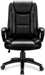OFIKA Ergonomic Adjustable Desk Chair - Black