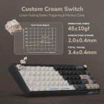 RK ROYAL KLUDGE R65 60% Wired Gaming Keyboard