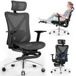 Gabrylly Ergonomic Office Chair with Lumbar Support