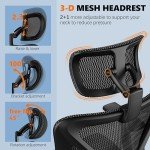 Gabrylly Ergonomic Office Chair with Lumbar Support