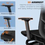 Gabrylly Ergonomic Office Chair with Lumbar Support