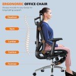 Gabrylly Ergonomic Office Chair with Lumbar Support
