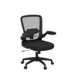 FelixKing Ergonomic Mesh Office Chair with Lumbar Support
