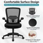 FelixKing Ergonomic Mesh Office Chair with Lumbar Support