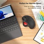 Nulea M501 Wireless Ergonomic Trackball Mouse