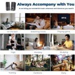 ROSON Compact Stereo Speakers with Headphone Jack