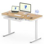 FLEXISPOT Electric Standing Desk with USB Charging