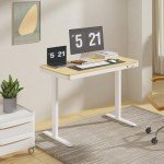 FLEXISPOT Electric Standing Desk with USB Charging