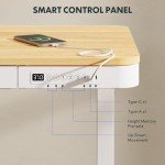 FLEXISPOT Electric Standing Desk with USB Charging