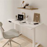 Height Adjustable Electric Standing Desk with Wheels