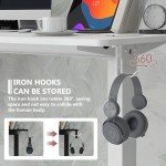 Height Adjustable Electric Standing Desk with Wheels