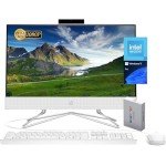 HP 22" All-in-One Desktop PC with 40GB RAM