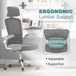 Mimoglad Ergonomic Office Chair with Adjustable Lumbar Support
