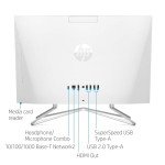 HP Premium All-in-One Desktop with FHD Display