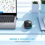 PEIOUS Rechargeable Wireless Mouse with Jiggler Feature