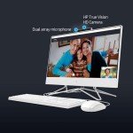 HP Premium All-in-One Desktop with FHD Display