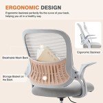 Sweetcrispy Office Computer Desk Chair, Ergonomic Mid-Back Mesh Rolling Work Swivel Task Chairs with Wheels, Comfortable Lumbar Support, Comfy Flip-up Arms for Home, Bedroom, Study, Student, Gray