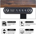 Radlove Electric Height Adjustable Standing Desk, 63x 30 Inches Stand Up Ergonomic Desk Workstation, Splice Board Home Office Computer Table
