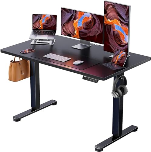 ErGear 48x24 Inch Electric Standing Desk - Black