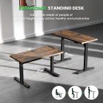 SIAGO Electric Standing Desk Adjustable - 48 x 24 Inch Sit Stand up Desk with Cable Management - 3 Memory Preset Adjustable Height Computer Home Office Desk